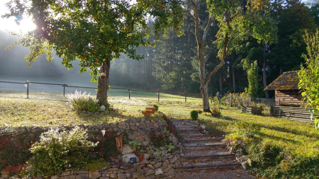 Ferienhaus Vulkaneifel Landhaus Loogh Kerpen  Zewnętrze zdjęcie