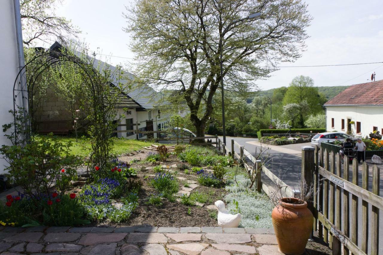 Ferienhaus Vulkaneifel Landhaus Loogh Kerpen  Zewnętrze zdjęcie