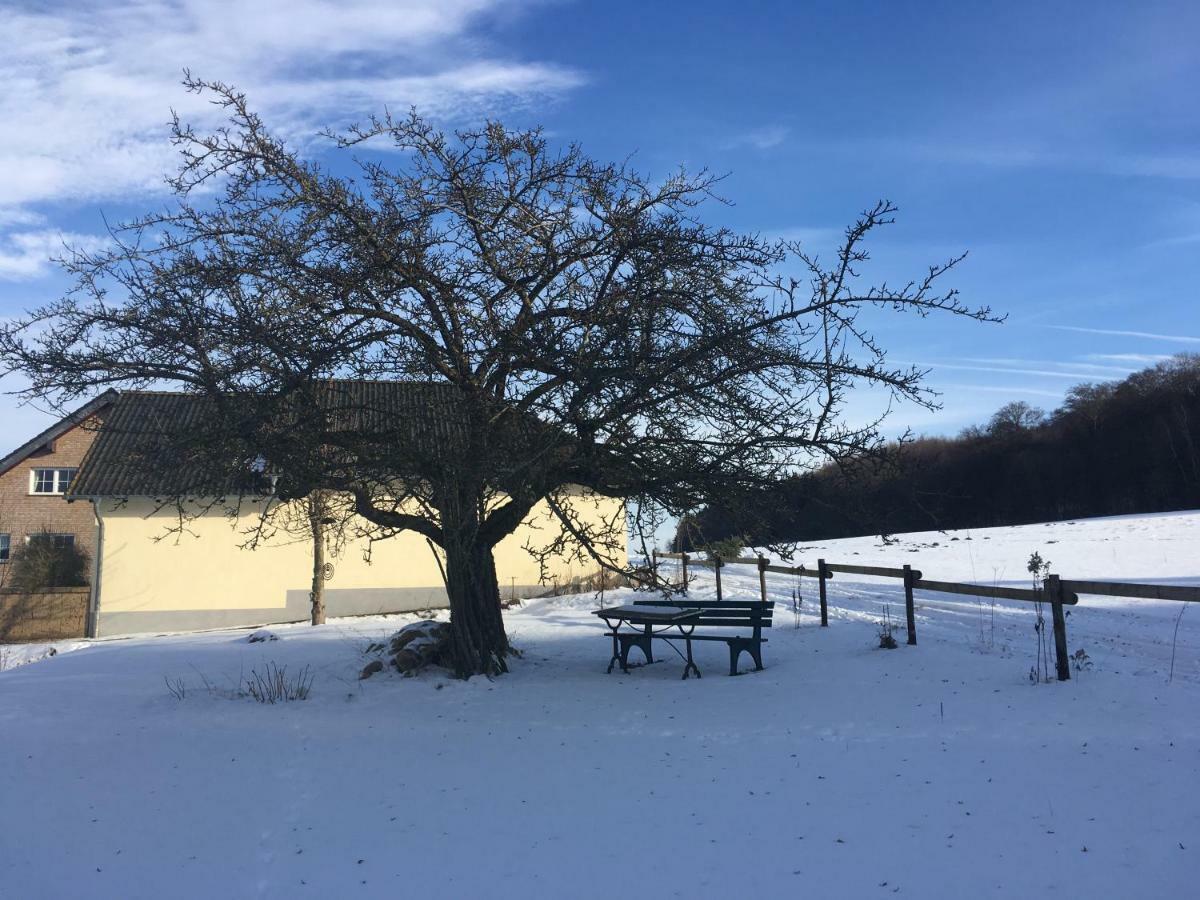 Ferienhaus Vulkaneifel Landhaus Loogh Kerpen  Zewnętrze zdjęcie